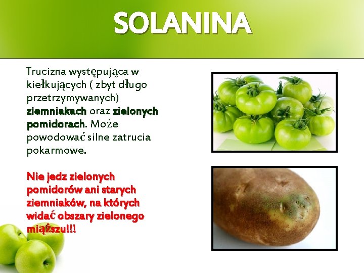 SOLANINA Trucizna występująca w kiełkujących ( zbyt długo przetrzymywanych) ziemniakach oraz zielonych pomidorach Może