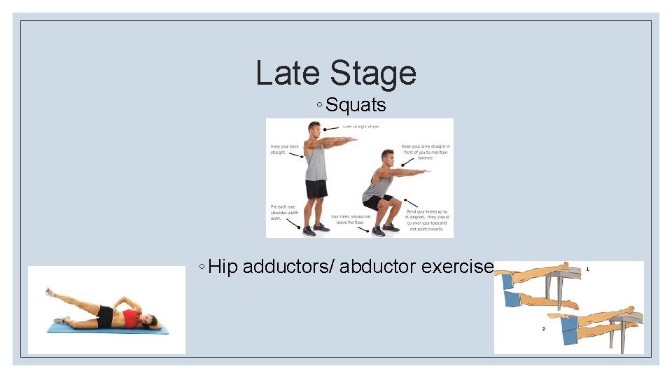 Late Stage ◦ Squats ◦ Hip adductors/ abductor exercises 