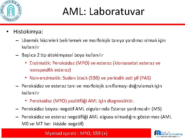 AML: Laboratuvar • Histokimya: – Lösemik hücreleri belirlemek ve morfolojik tanıya yardımcı olmak için