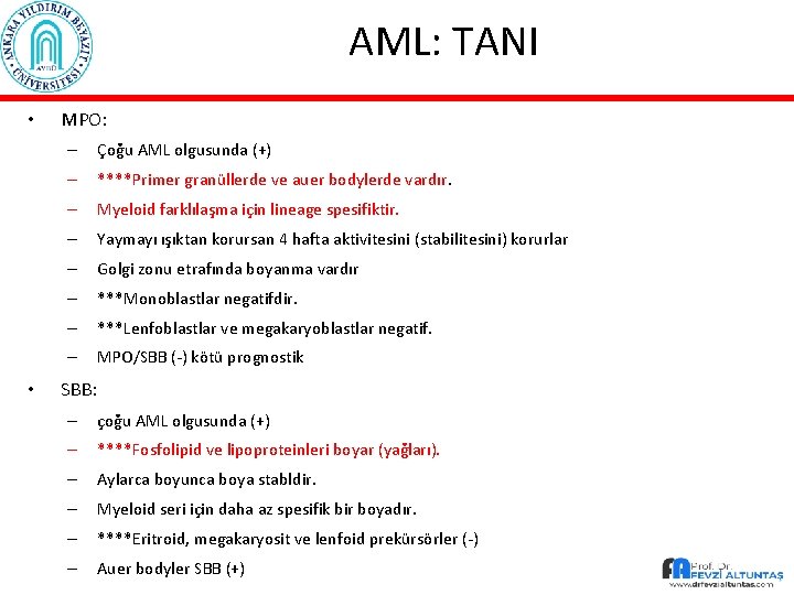 AML: TANI • • MPO: – Çoğu AML olgusunda (+) – ****Primer granüllerde ve