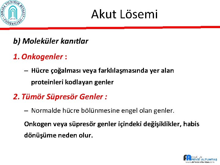 Akut Lösemi b) Moleküler kanıtlar 1. Onkogenler : – Hücre çoğalması veya farklılaşmasında yer