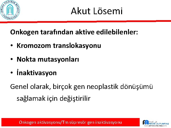 Akut Lösemi Onkogen tarafından aktive edilebilenler: • Kromozom translokasyonu • Nokta mutasyonları • İnaktivasyon