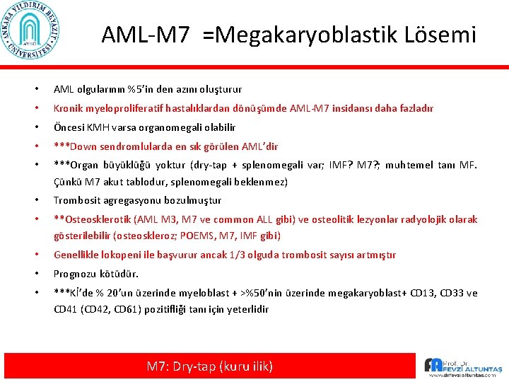 AML-M 7 =Megakaryoblastik Lösemi • AML olgularının %5’in den azını oluşturur • Kronik myeloproliferatif