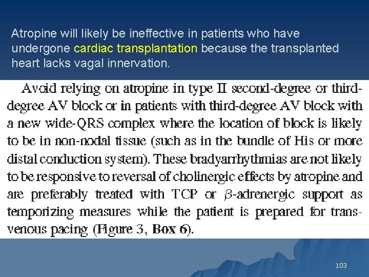 Atropine will likely be ineffective in patients who have undergone cardiac transplantation because the