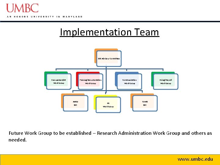 Implementation Team SSC Advisory Committee Procurement/AP Work Group Training/Documentation Work Group AAOU SSC Hiring/Payroll