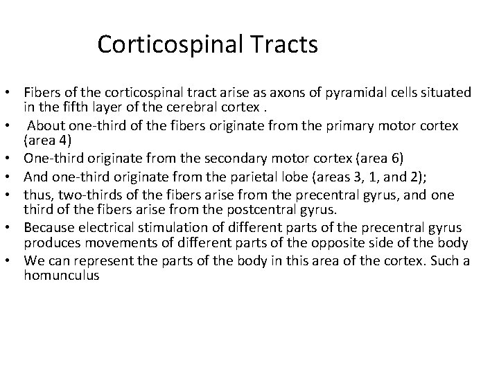 Corticospinal Tracts • Fibers of the corticospinal tract arise as axons of pyramidal cells