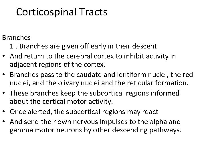 Corticospinal Tracts Branches 1. Branches are given off early in their descent • And