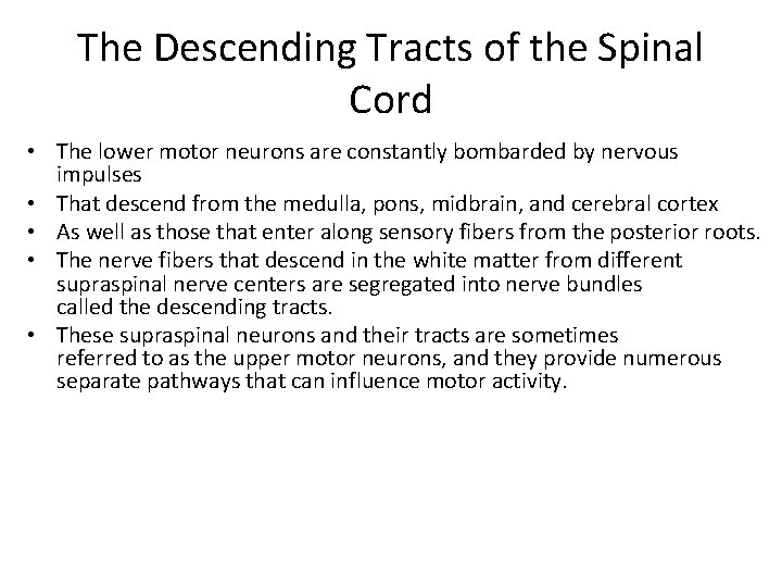 The Descending Tracts of the Spinal Cord • The lower motor neurons are constantly