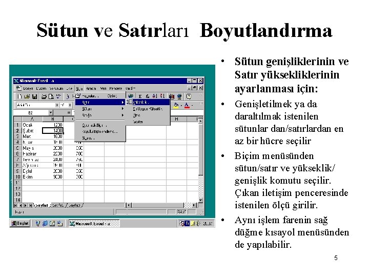 Sütun ve Satırları Boyutlandırma • Sütun genişliklerinin ve Satır yüksekliklerinin ayarlanması için: • Genişletilmek