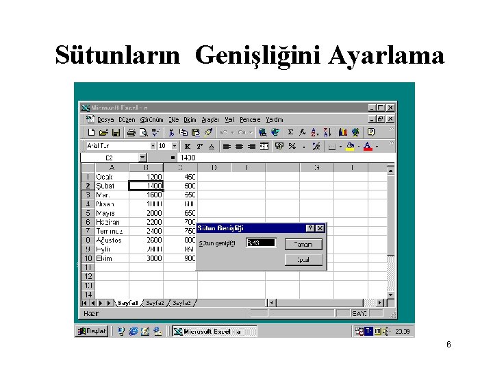 Sütunların Genişliğini Ayarlama 6 