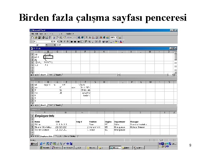 Birden fazla çalışma sayfası penceresi 9 