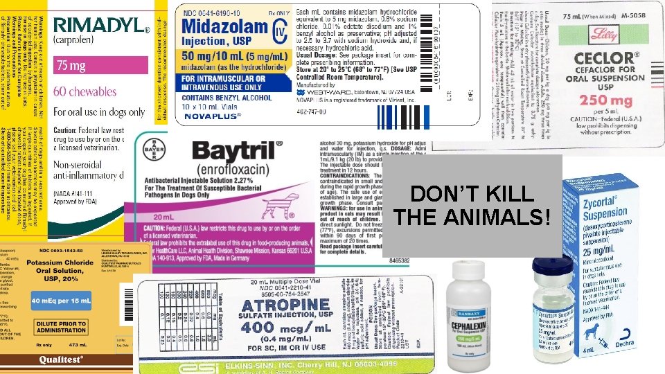 DON’T KILL THE ANIMALS! 