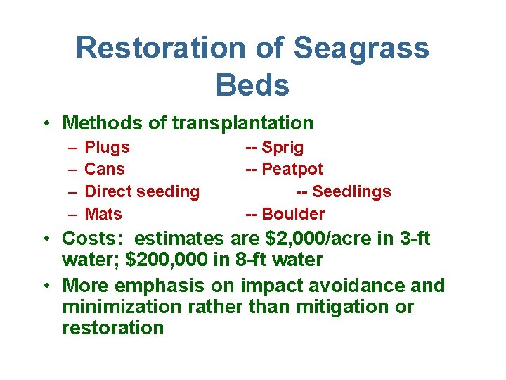 Restoration of Seagrass Beds • Methods of transplantation – – Plugs Cans Direct seeding