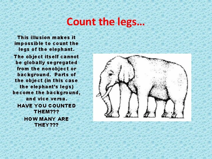 Count the legs… This illusion makes it impossible to count the legs of the