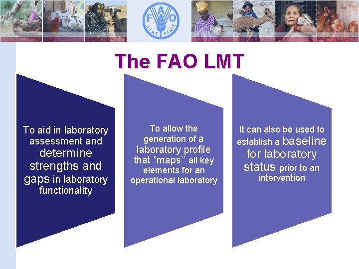 The FAO LMT To aid in laboratory assessment and determine strengths and gaps in