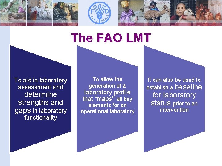 The FAO LMT To aid in laboratory assessment and determine strengths and gaps in The FAO LMT To aid in laboratory assessment and determine strengths and gaps in