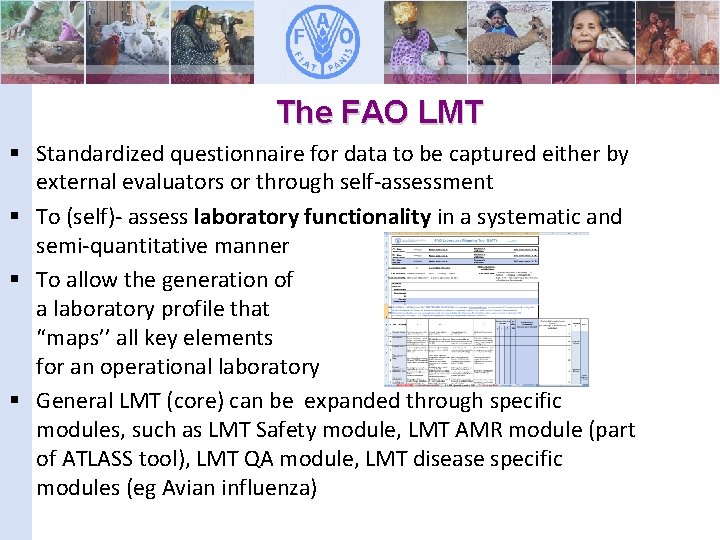 The FAO LMT § Standardized questionnaire for data to be captured either by external