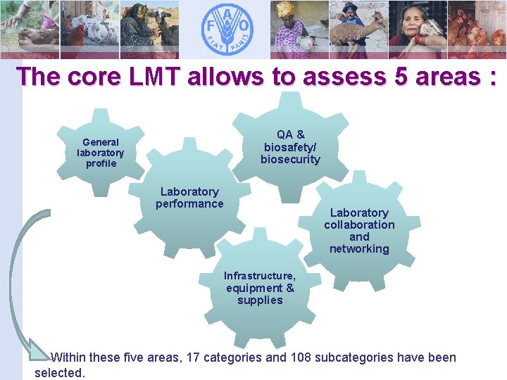 The core LMT allows to assess 5 areas : QA & biosafety/ biosecurity General