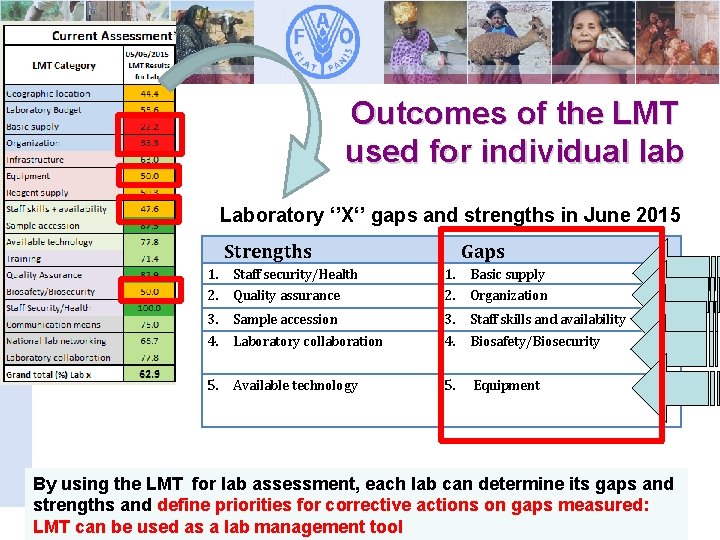 Outcomes of the LMT used for individual lab Laboratory ‘’X‘’ gaps and strengths in