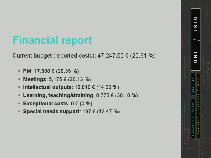 Financial report Current budget (reported costs): 47, 247. 00 € (20. 61 %) §