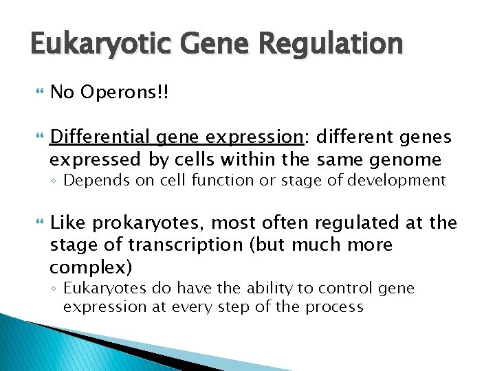 Eukaryotic Gene Regulation No Operons!! Differential gene expression: different genes expressed by cells within