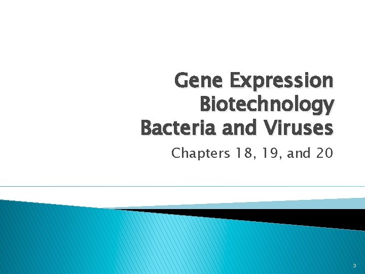 Gene Expression Biotechnology Bacteria and Viruses Chapters 18, 19, and 20 3 