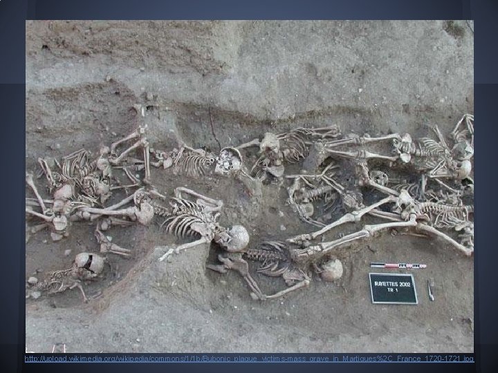 http: //upload. wikimedia. org/wikipedia/commons/1/1 b/Bubonic_plague_victims-mass_grave_in_Martigues%2 C_France_1720 -1721. jpg 