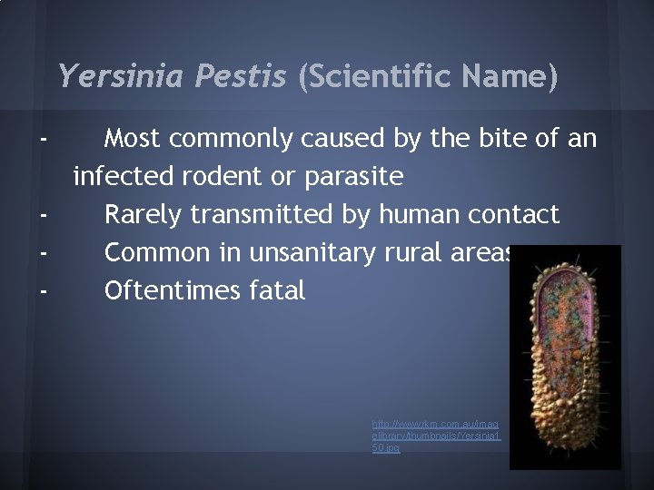 Yersinia Pestis (Scientific Name) - Most commonly caused by the bite of an infected