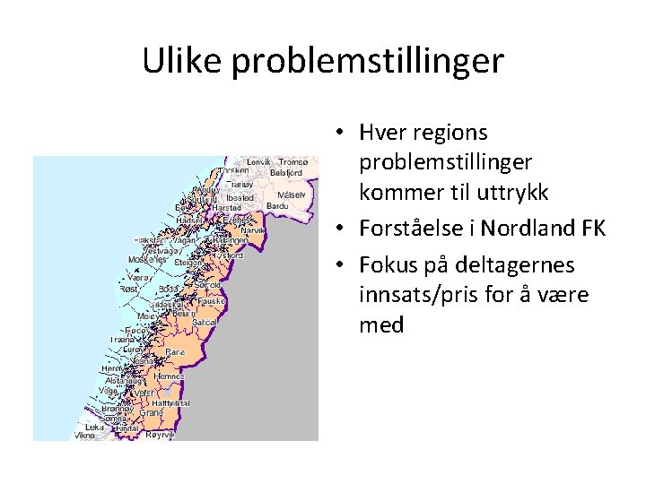Ulike problemstillinger • Hver regions problemstillinger kommer til uttrykk • Forståelse i Nordland FK