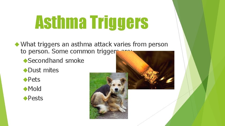 Asthma Triggers What triggers an asthma attack varies from person to person. Some common