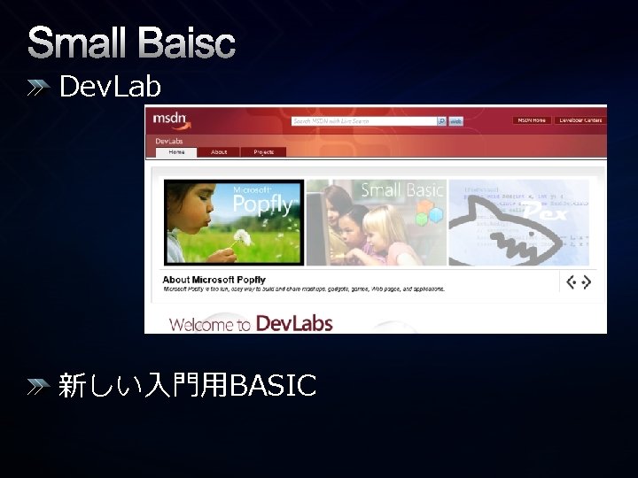 Small Baisc Dev. Lab 新しい入門用BASIC 