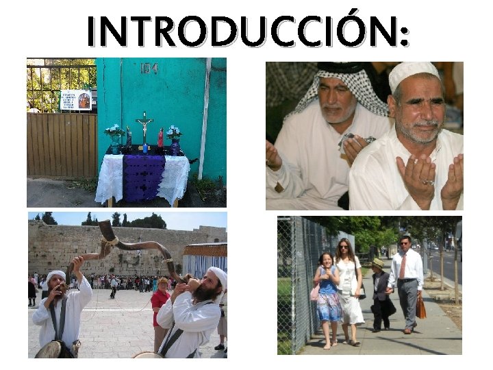 INTRODUCCIÓN: 