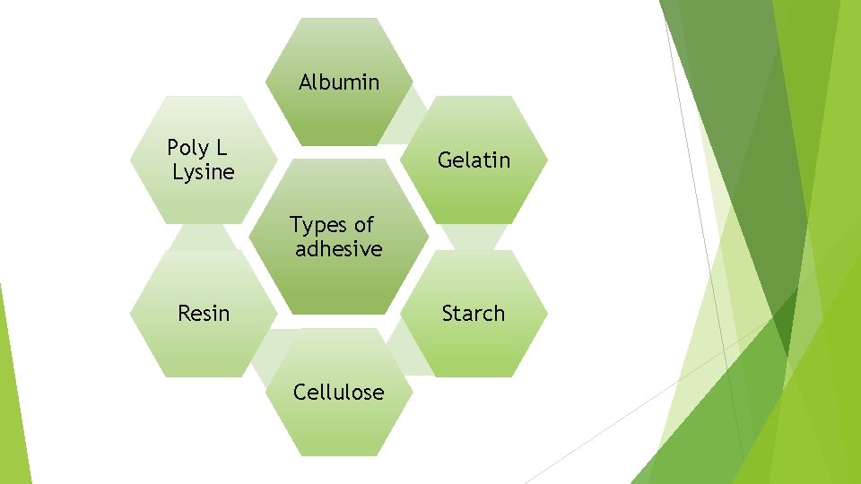 Albumin Poly L Lysine Gelatin Types of adhesive Starch Resin Cellulose 