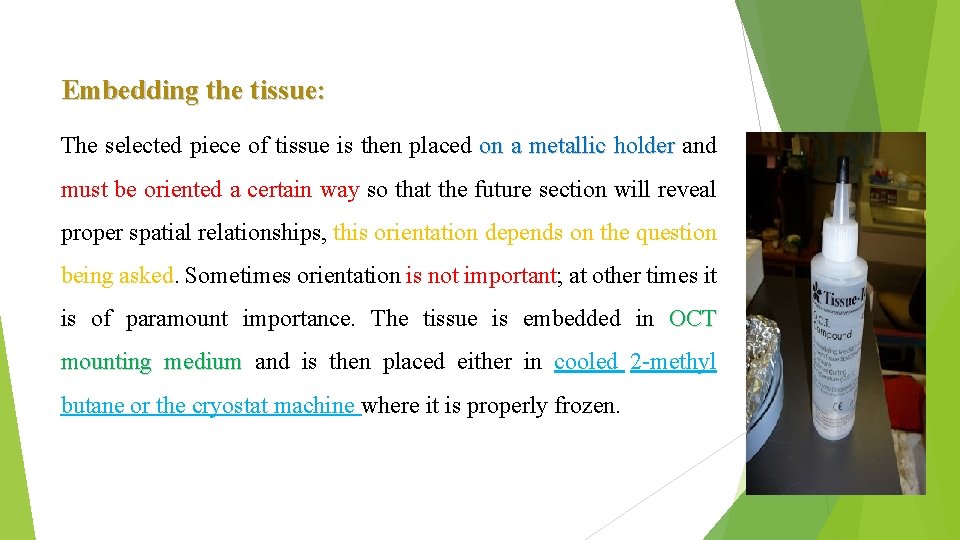 Embedding the tissue: The selected piece of tissue is then placed on a metallic