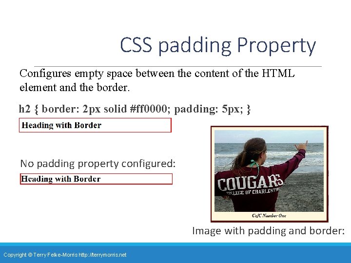 CSS padding Property Configures empty space between the content of the HTML element and