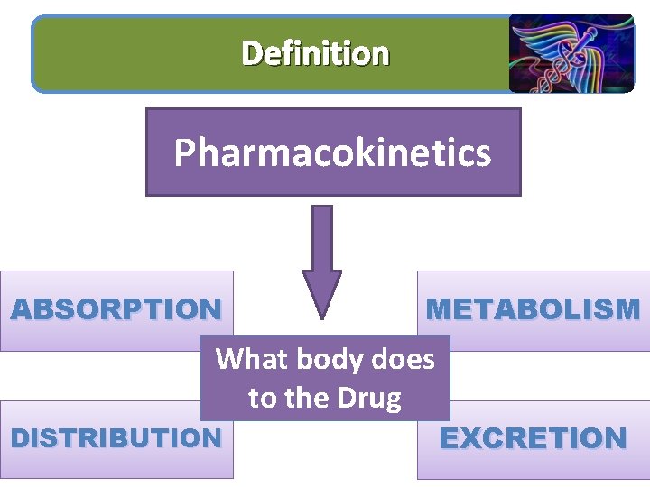 Pharmacology I BMS 242 Lecture 4 Principles