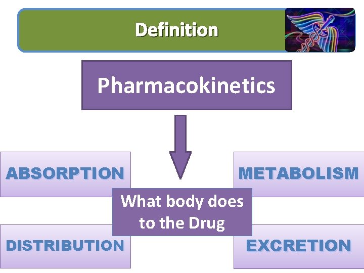 Definition Pharmacokinetics ABSORPTION METABOLISM What body does to the Drug DISTRIBUTION EXCRETION 