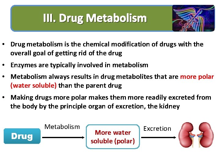 III. Drug Metabolism • Drug metabolism is the chemical modification of drugs with the