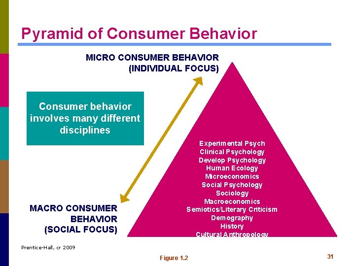 Pyramid of Consumer Behavior MICRO CONSUMER BEHAVIOR (INDIVIDUAL FOCUS) Consumer behavior involves many different