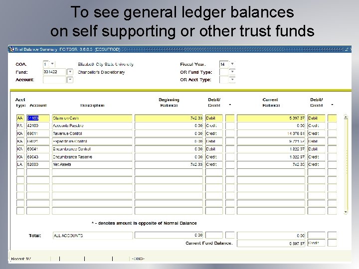 To see general ledger balances on self supporting or other trust funds 