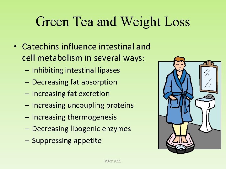 Green Tea and Weight Loss • Catechins influence intestinal and cell metabolism in several