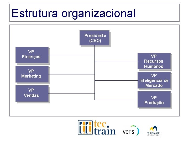 Estrutura organizacional Presidente (CEO) VP Finanças VP Marketing VP Vendas VP Recursos Humanos VP Estrutura organizacional Presidente (CEO) VP Finanças VP Marketing VP Vendas VP Recursos Humanos VP