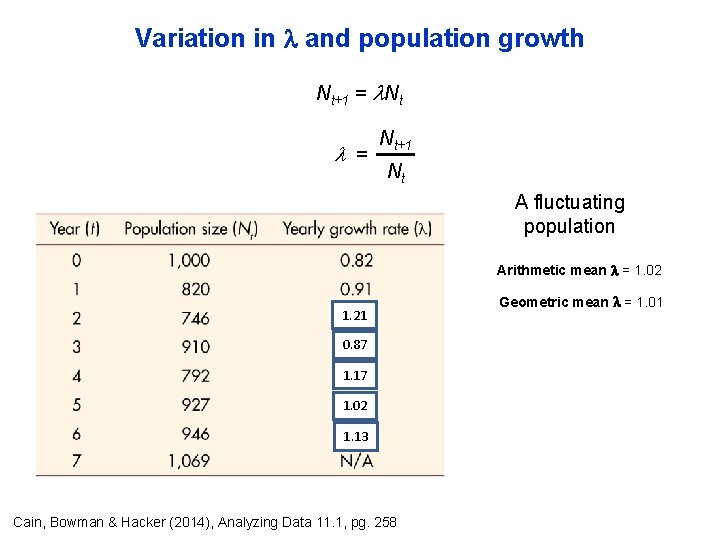 Variation in and population growth Nt+1 = Nt+1 Nt A fluctuating population Arithmetic mean