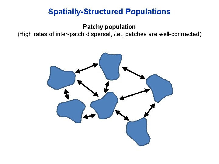 Spatially-Structured Populations Patchy population (High rates of inter-patch dispersal, i. e. , patches are