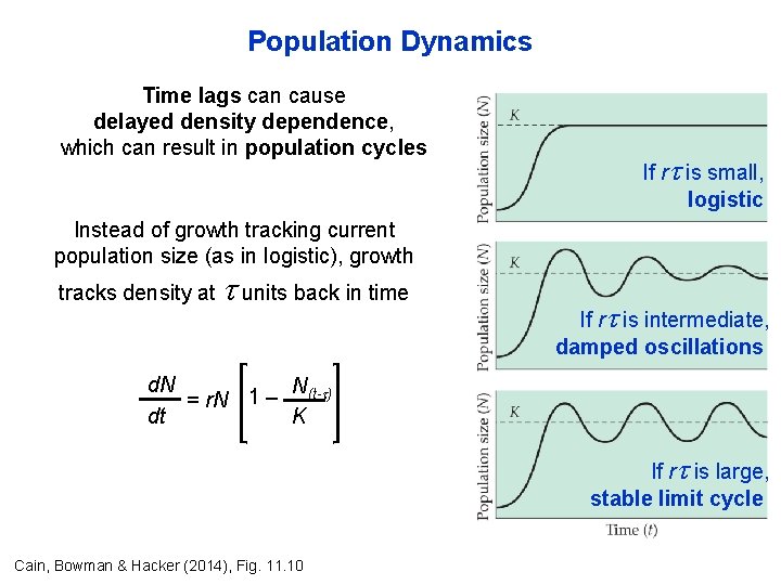 Population Dynamics Time lags can cause delayed density dependence, which can result in population