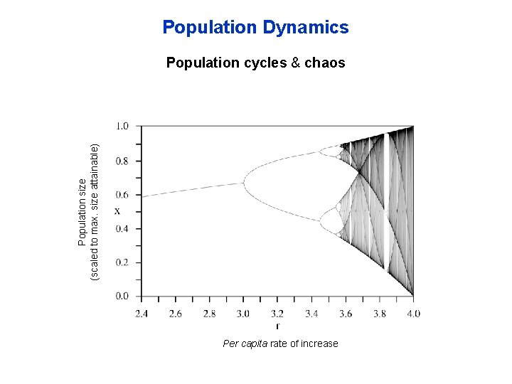 Population Dynamics Population size (scaled to max. size attainable) Population cycles & chaos Per