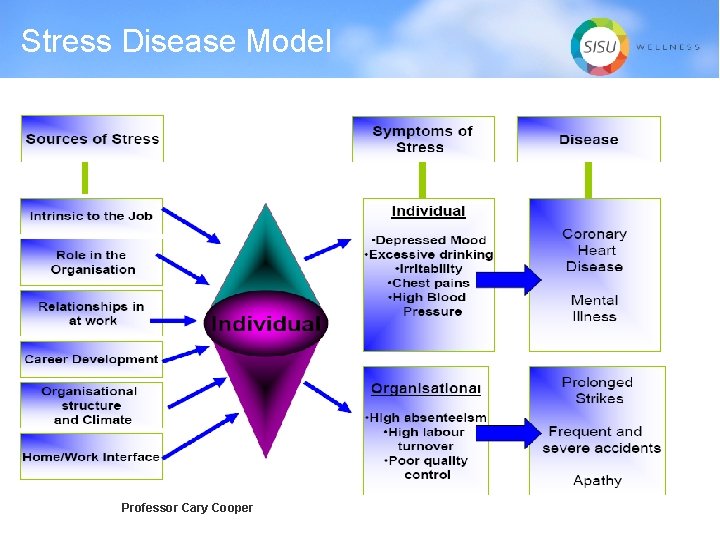 Stress Disease Model Professor Cary Cooper 