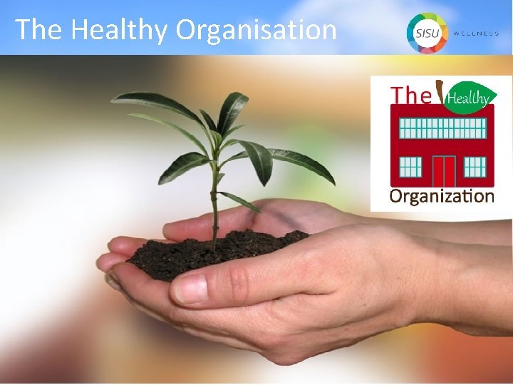 The Healthy Organisation 