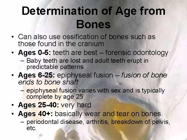 Determination of Age from Bones • Can also use ossification of bones such as