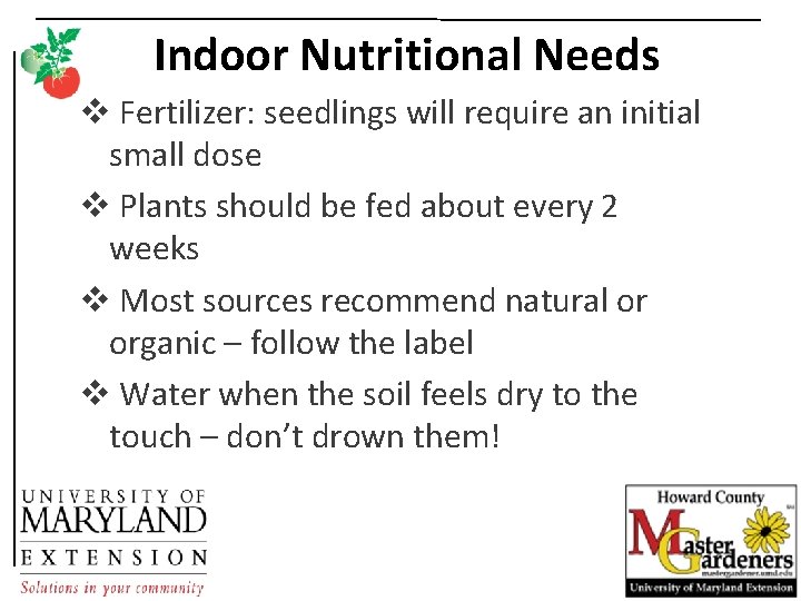 Indoor Nutritional Needs v Fertilizer: seedlings will require an initial small dose v Plants